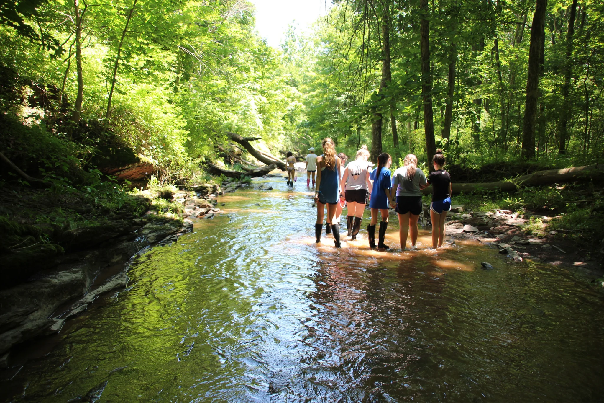 stream